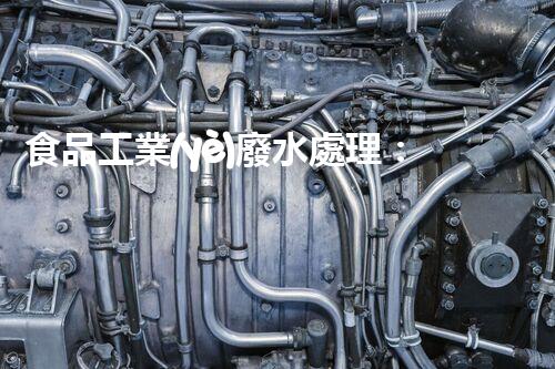 食品工業(yè)廢水處理：創(chuàng)新技術(shù)解決方案？